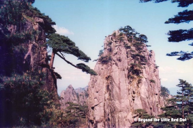 Huangshan is also famous for their pine trees which grow right out of the rock. Many of them are also several hundred years old.