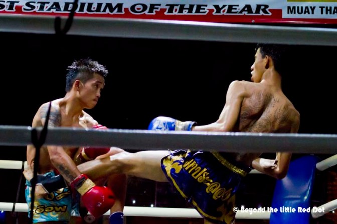 Most of the fighters were on the lean side. But they still pack a wallop.