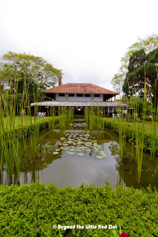 One of the restaurants that we had our lunch was David Brown, on top of Strawberry Hill. We didn't sit in the main building, instead we took the terrace which is located a bit further down.