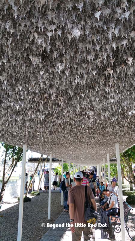 An interesting roof for a walkway. Thousands of silver leaves hand from the roof of the walkway.