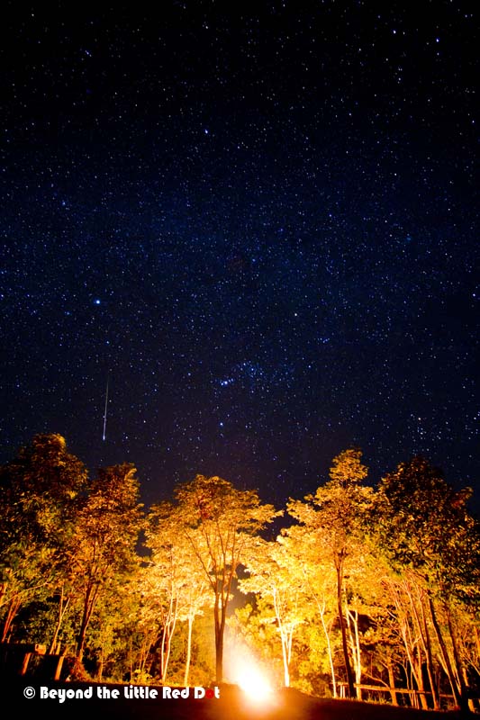 The Milky Way appearing above the forest as a campfire burned.