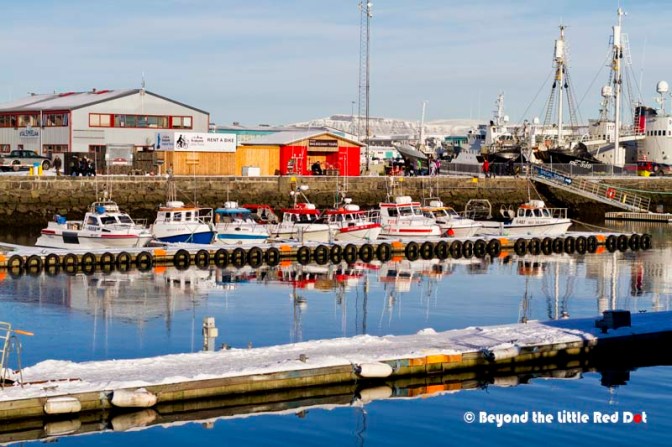 The whale watching dock where the various whale watching companies have their sales offices. You can buy your tickets there.