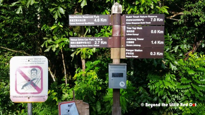 I'm getting nearer to the Tree top Walk.