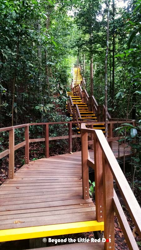 Now comes the hard part. There are hundreds of stairs to climb. 