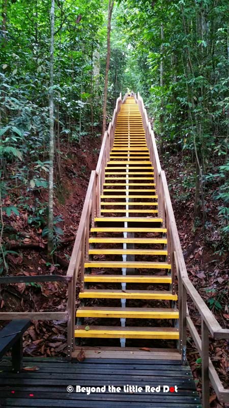 Looking up to where I had come down from. Signs tell visitors not to turn back, and that's good advice. There's no way I'm going back up there.