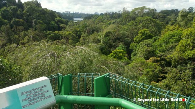 From the top of Jelutong Tower, you can see all around. 