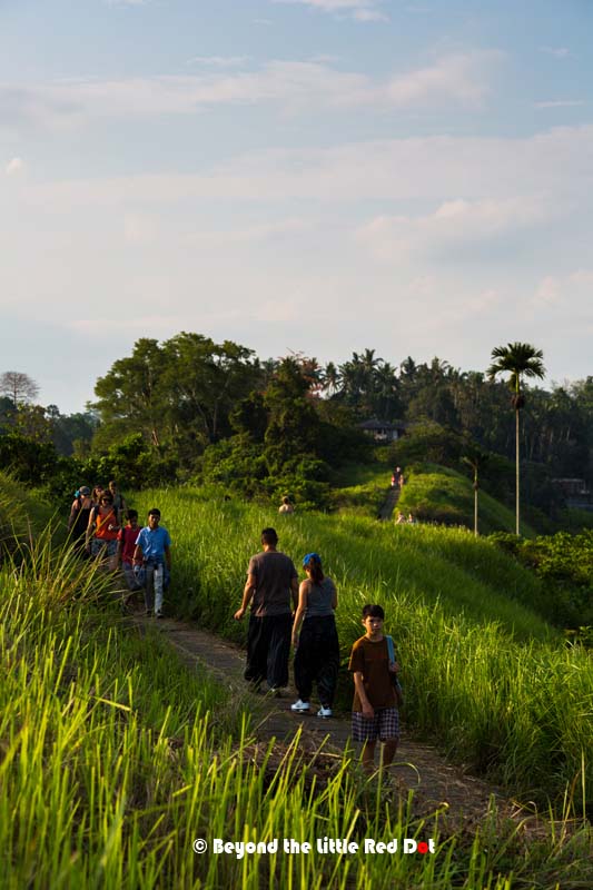 The route continues for 9km inwards. We didn't go all the way as we going to watch the Kecak dance later.