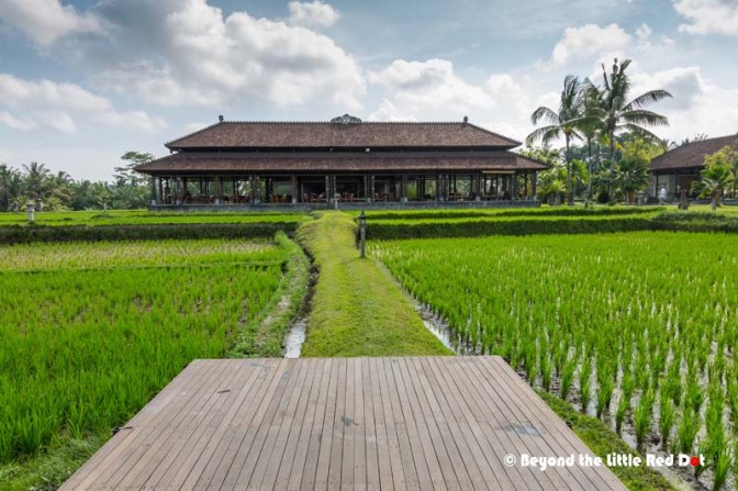 A walk around after our lunch.