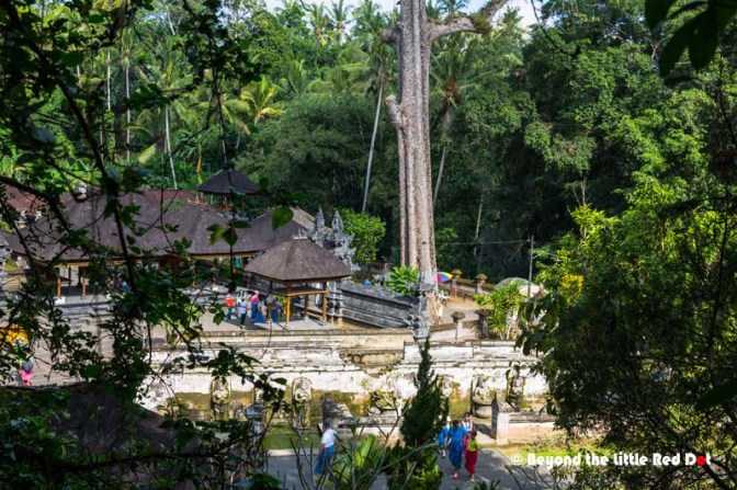 Goa Gajah as seen from the top at the ticket counter.