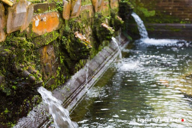 Natural spring water feeds the various water pools in the temple.