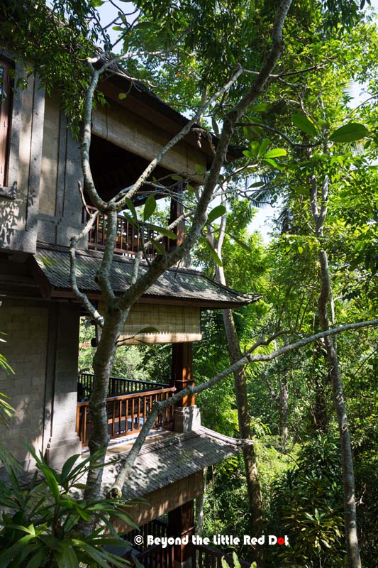 Our Treetop suite with it's valley view. We could hear the soft roar of the river flowing below.