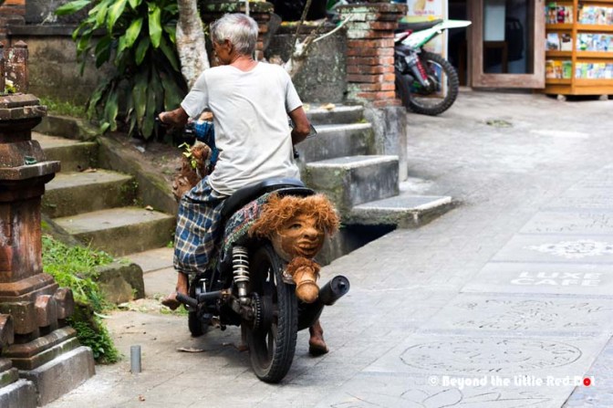 We exited the rice fields through the road that comes out beside Starbucks. Have you ever seen a motorbike with a penis?