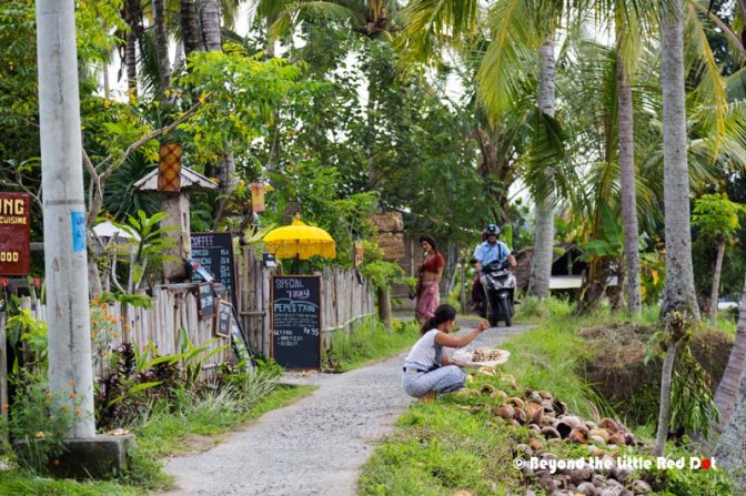 Once we got past the houses, we suddenly found ourselves in the middle of the rice fields. I see someone that looks like Julia Roberts in the distance...