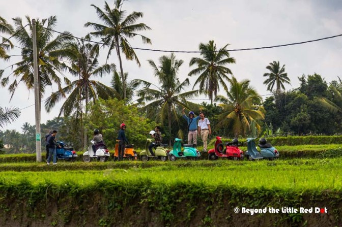 Cycling and Vespa tours like to come here.