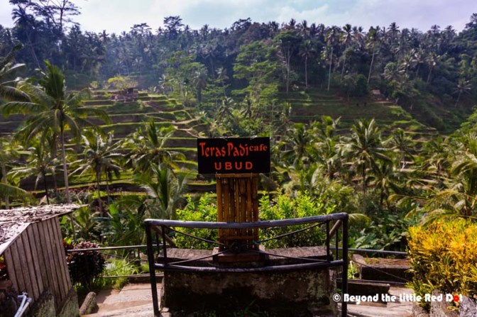 The whole place is very touristy, with cafes and small restaurants lining the road and the side of the hill facing the rice terraces.