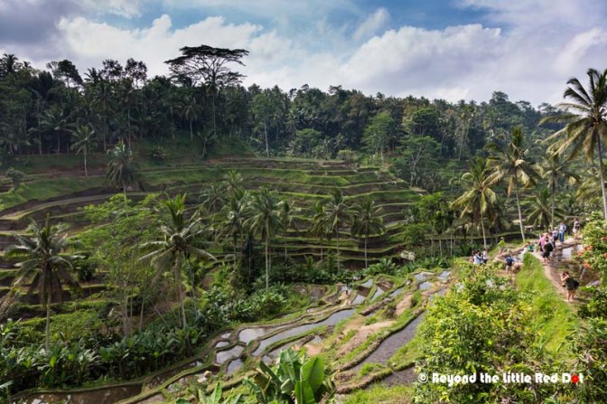 The 2 side of the valley are covered by the rice terraces making for an incredible sight.