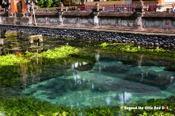 The natural spring which can be seen coming out of the ground, churning the sand.