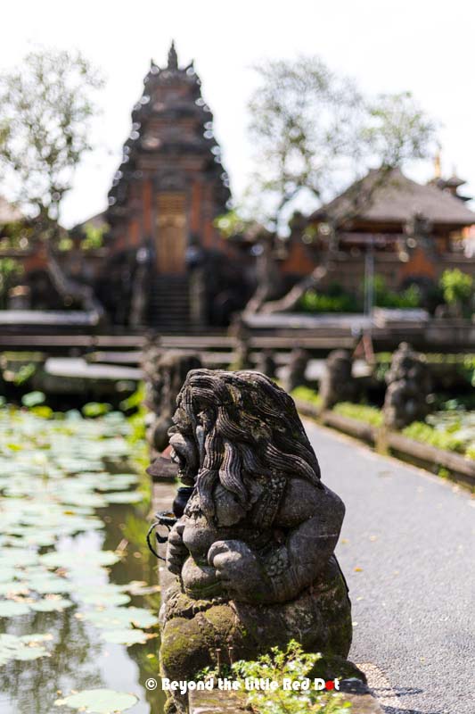 You can walk around the lotus pond in front of Pura Taman Saraswati temple. This is just behind lotus Café.