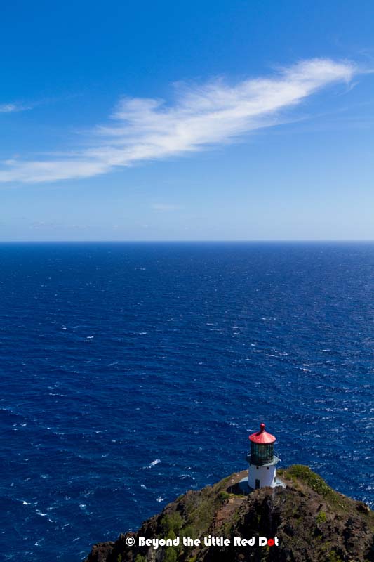 Just the lighthouse and empty ocean. However, in winter you can see whales from here.