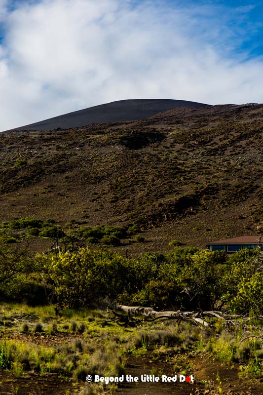 Looking up you can see the summit of Mauna Kea.