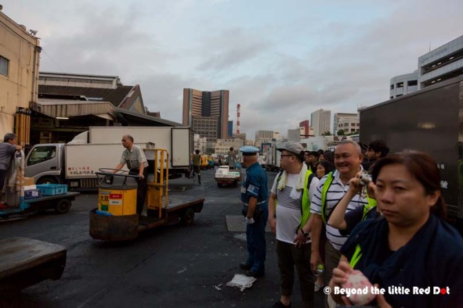 5.20am and our group goes first to watch the tuna auction.