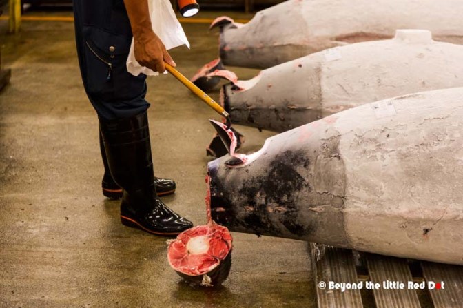 After inspecting each tuna, they will decide what price they want to pay for it.