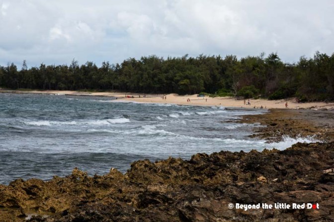 The lava rock landscape and big waves here gives turtle Bay it's exotic look and it was used to film the TV series Lost.