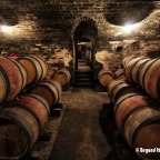 Visiting a French Vineyard