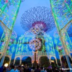 Christmas in the Tropics