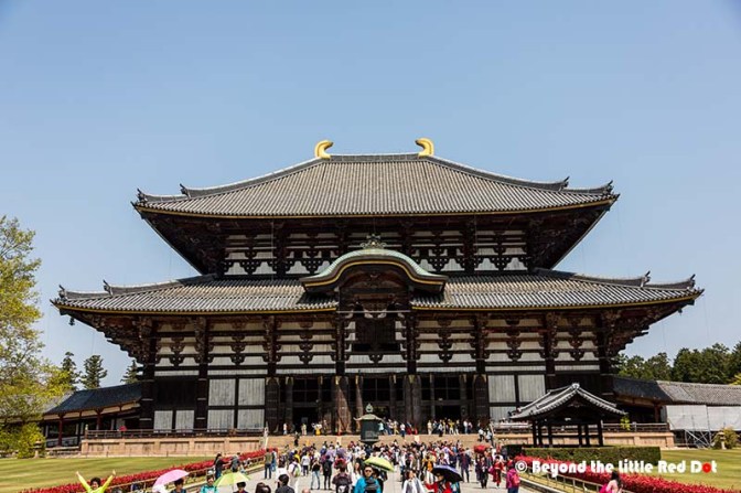 Todaiji2