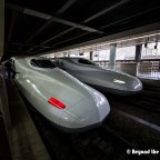 Should You Get the Japan Rail Pass?