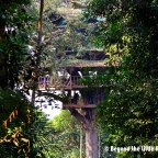 The Gibbon Experience