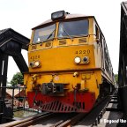 Day Trip to the Death Railway