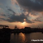 The Bird’s Eye View