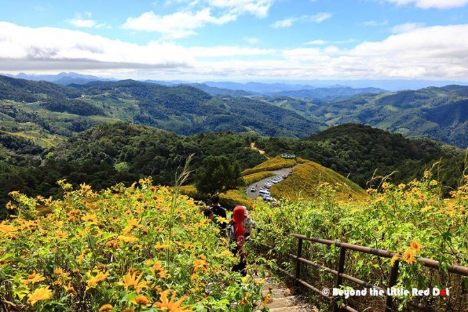 Climbing the hill to get a higher viewpoint.